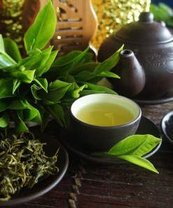 Chè Thái Nguyên Tân Cương