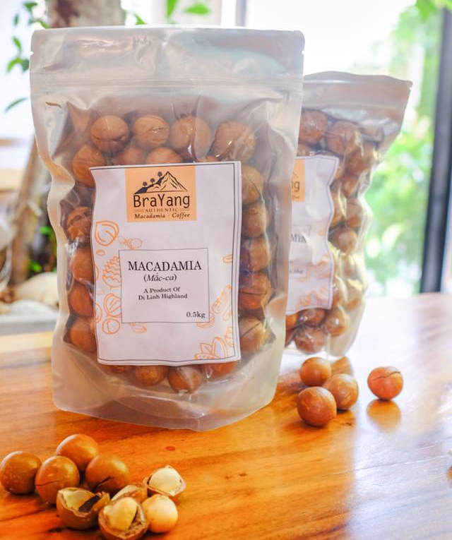 Hạt Macca sấy khô Lâm Đồng