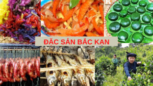 10 đặc sản Bắc Kạn làm quà và thưởng thức nổi tiếng nhất